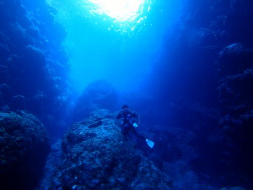 サイパン 体験ダイビング