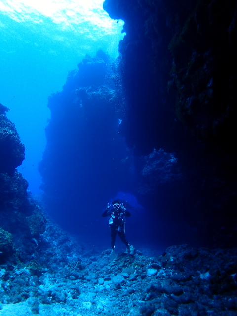 サイパン ダイビング