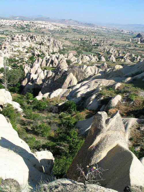 美しい馬の国カッパドキア