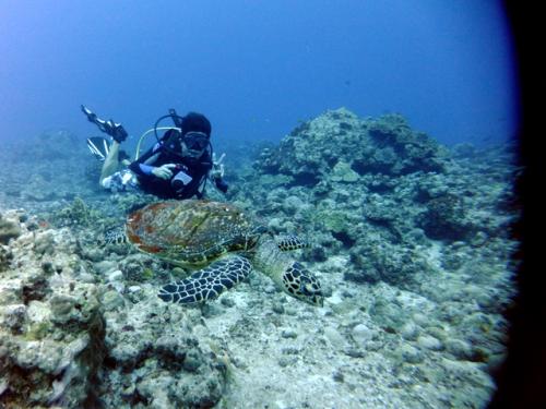 サイパン ダイビング