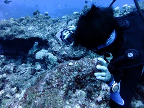 サイパン 島内観光