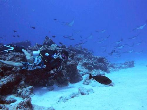 サイパン グロットシュノーケル