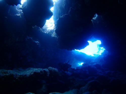 サイパン ダイビングライセンス