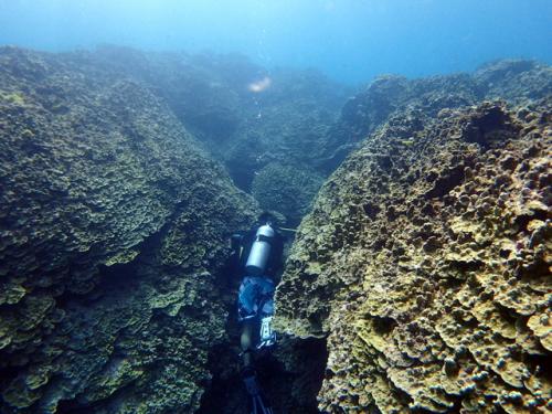 サイパン ダイビングライセンス