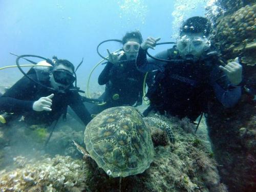 サイパン 体験ダイビング