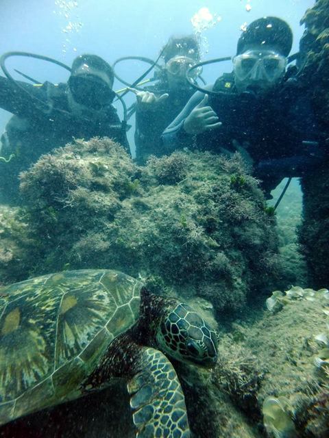 サイパン グロットシュノーケル