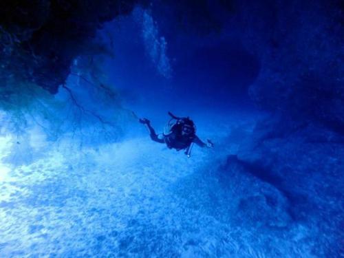 サイパン グロットシュノーケル