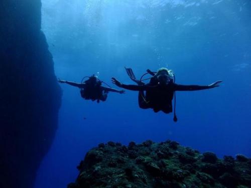 サイパン ダイビングライセンス