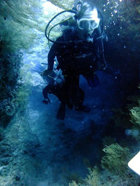 サイパン ダイビングライセンス