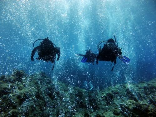 サイパン 体験ダイビング