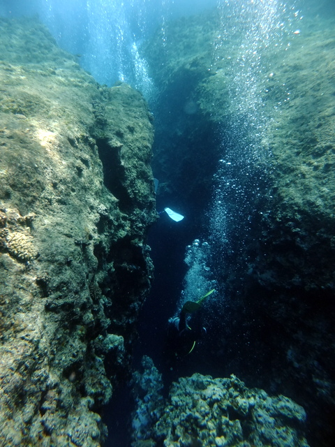 サイパン 体験ダイビング