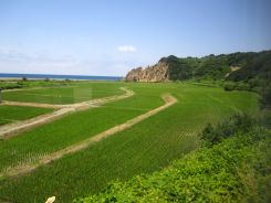 車窓からの景色1