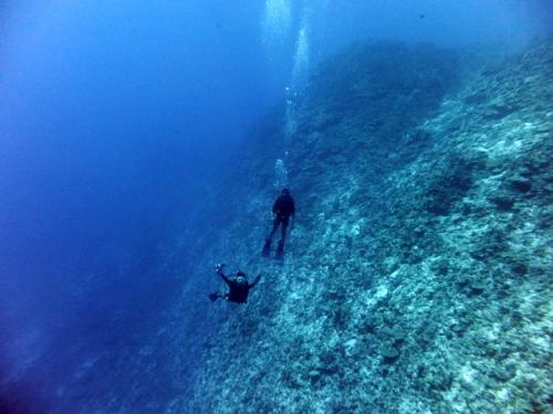 サイパン ダイビングライセンス