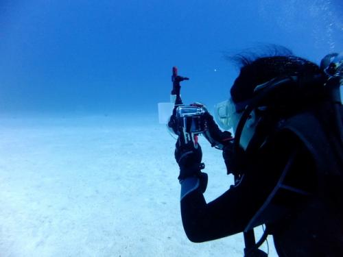 サイパン 体験ダイビング