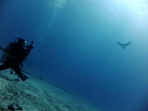 サイパン ダイビングライセンス