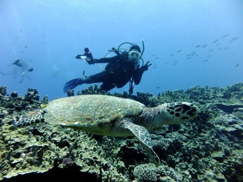 サイパン ダイビング