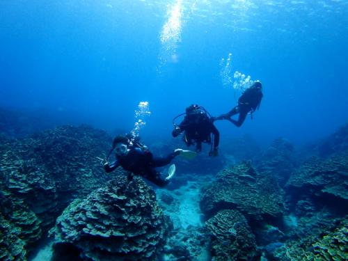 サイパン グロットシュノーケル