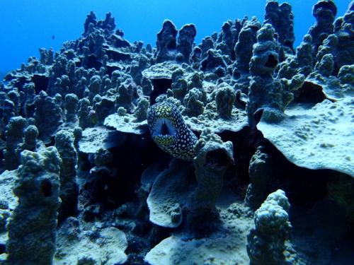 サイパン 島内観光