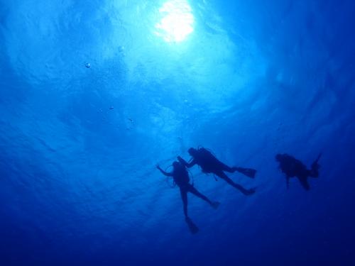 サイパン ダイビング