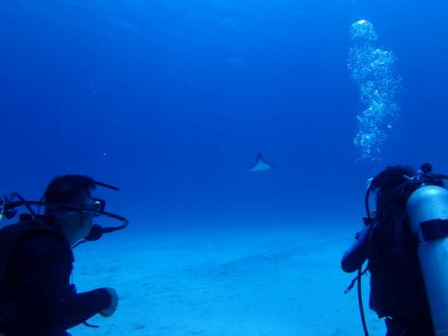 サイパン 体験ダイビング