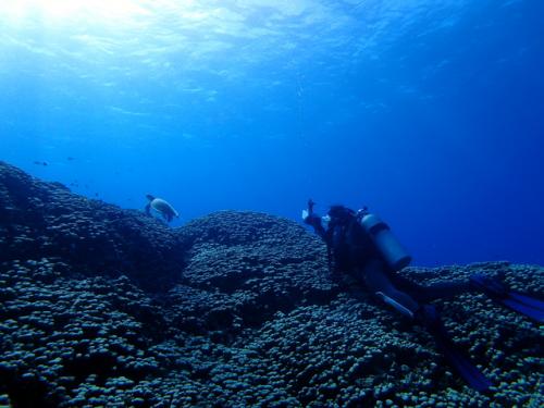 サイパン グロットシュノーケル