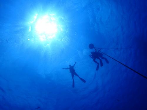 サイパン 体験ダイビング