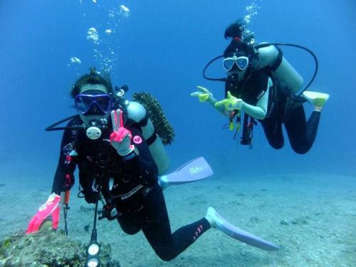 サイパン 体験ダイビング