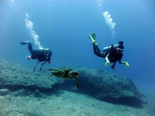 サイパン グロットシュノーケル