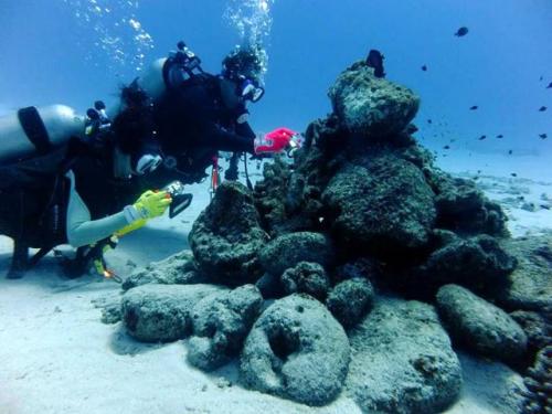 サイパン 体験ダイビング