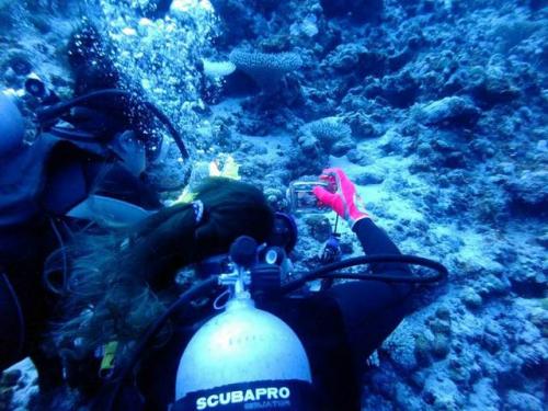 サイパン ダイビングライセンス