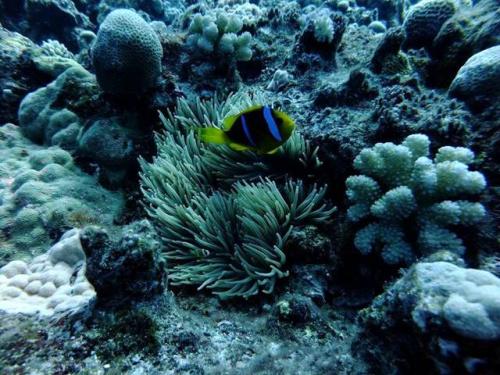 サイパン 島内観光