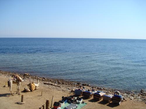 アレキサンドリア