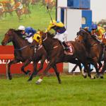 マジックミリオンカーニバル 2010