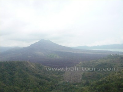 キンタマーニ高原1