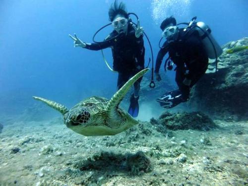 サイパン ダイビングライセンス