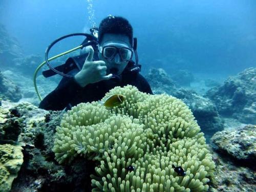 サイパン グロットシュノーケル