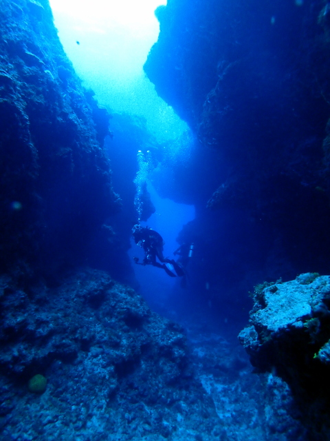 サイパン ダイビング