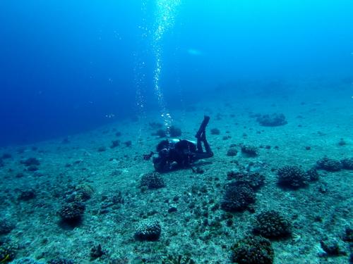 サイパン 体験ダイビング