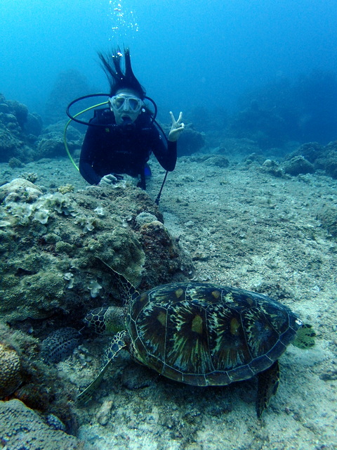 サイパン ダイビングライセンス