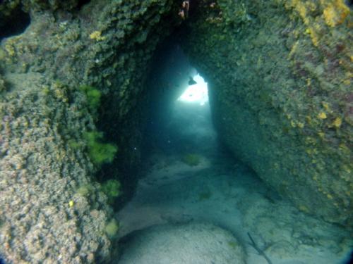 サイパン ダイビング