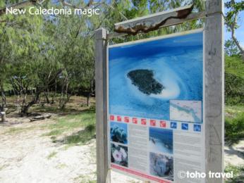 ニューカレドニア旅行記 世界遺産ブーライユ グリーン島 日帰りツアーに参加しました トーホートラベル 特派員ブログ トラベルコ
