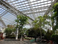 セリオンリスタ 3