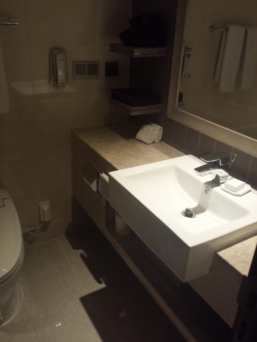 ロイヤル 洗面所