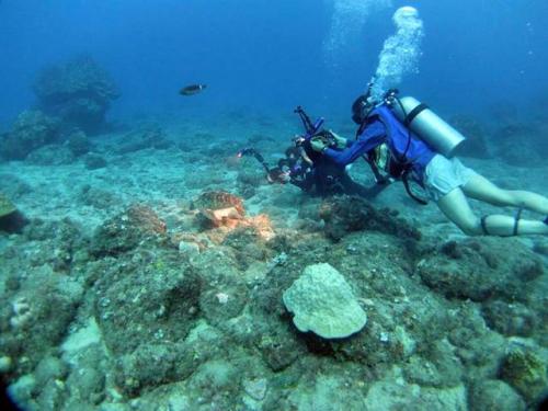 サイパン 体験ダイビング