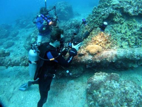 サイパン ダイビングライセンス