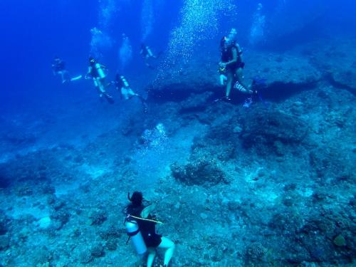 サイパン グロットシュノーケル