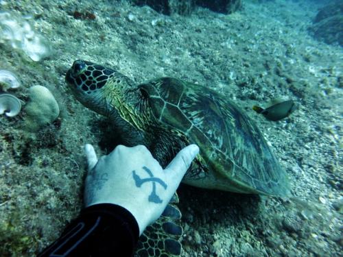 サイパン ダイビングライセンス