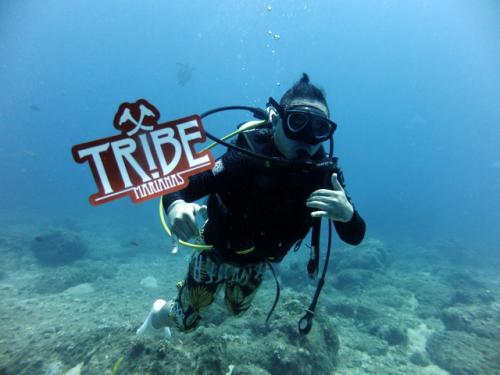 サイパン ダイビング