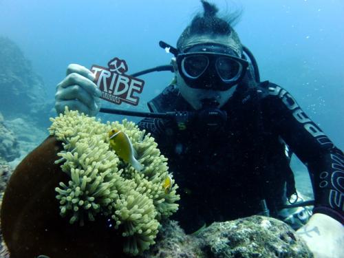 サイパン ダイビングライセンス