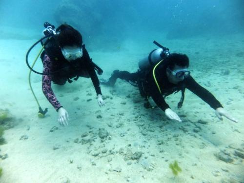 サイパン グロットシュノーケル